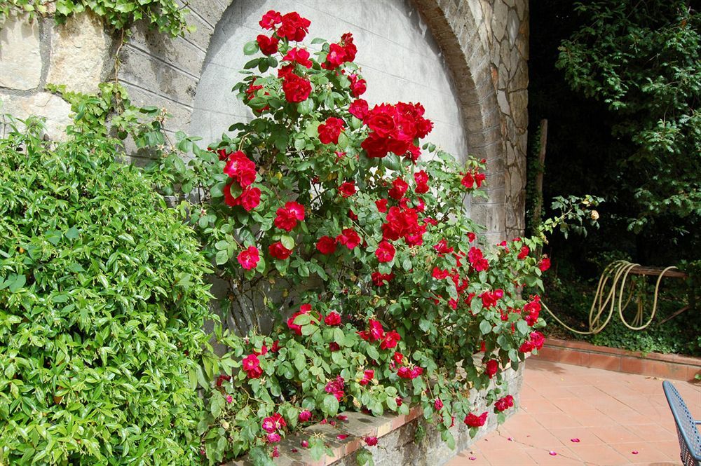 Grand Hotel Hermitage Sant'Agata sui due Golfi Exterior photo